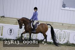 25R13_09081 thumbnail