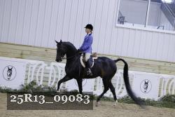25R13_09083 thumbnail