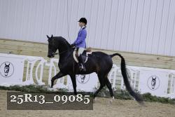 25R13_09085 thumbnail