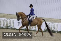 25R13_09086 thumbnail