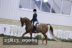 25R13_09089 thumbnail