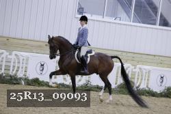 25R13_09093 thumbnail