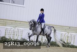 25R13_09096 thumbnail