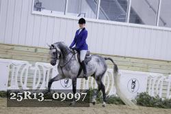 25R13_09097 thumbnail