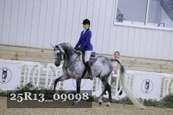25R13_09098 thumbnail