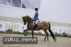 25R13_09099 thumbnail
