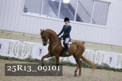 25R13_09101 thumbnail