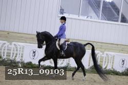 25R13_09103 thumbnail