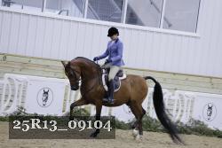 25R13_09104 thumbnail
