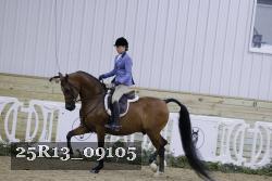 25R13_09105 thumbnail