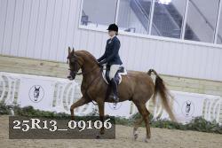 25R13_09106 thumbnail