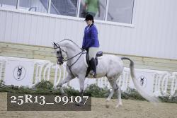 25R13_09107 thumbnail