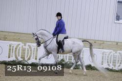 25R13_09108 thumbnail