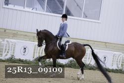25R13_09109 thumbnail