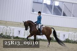 25R13_09110 thumbnail