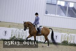 25R13_09111 thumbnail