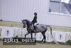 25R13_09112 thumbnail