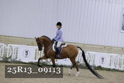 25R13_09113 thumbnail