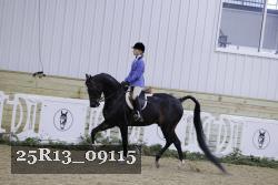 25R13_09115 thumbnail