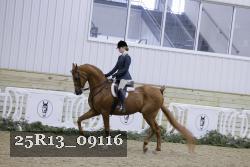 25R13_09116 thumbnail