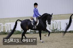 25R13_09117 thumbnail