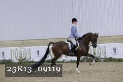 25R13_09119 thumbnail