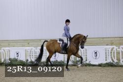 25R13_09120 thumbnail