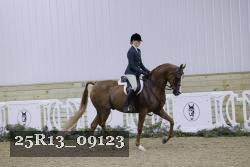 25R13_09123 thumbnail