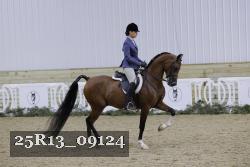 25R13_09124 thumbnail