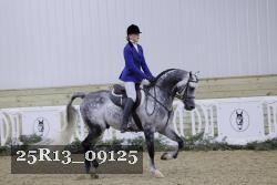 25R13_09125 thumbnail