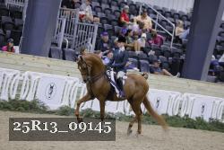 25R13_09145 thumbnail