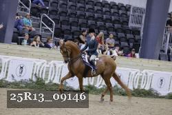 25R13_09146 thumbnail