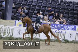 25R13_09147 thumbnail