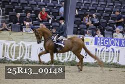 25R13_09148 thumbnail