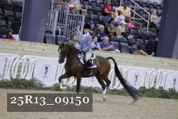 25R13_09150 thumbnail