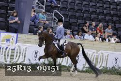 25R13_09151 thumbnail