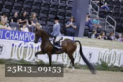 25R13_09153 thumbnail