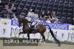 25R13_09154 thumbnail