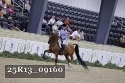25R13_09160 thumbnail