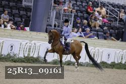 25R13_09161 thumbnail