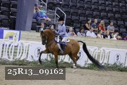 25R13_09162 thumbnail