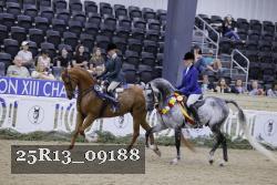 25R13_09188 thumbnail
