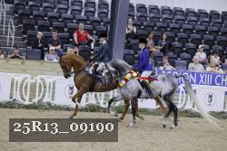 25R13_09190 thumbnail