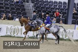 25R13_09191 thumbnail