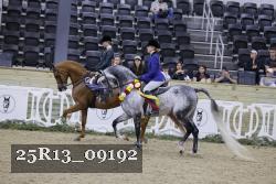 25R13_09192 thumbnail
