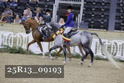 25R13_09193 thumbnail