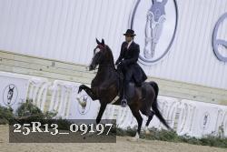 25R13_09197 thumbnail