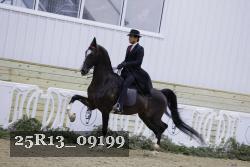 25R13_09199 thumbnail