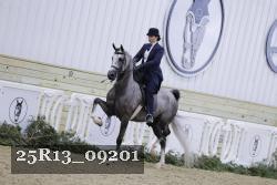 25R13_09201 thumbnail