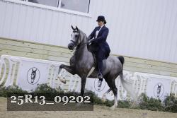 25R13_09202 thumbnail